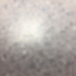 Meet your Posher, Lily